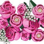 LEGO 10374 Bouquet of Pink Roses set from the Botanical Collection