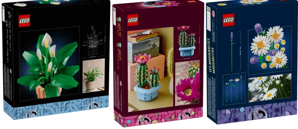 Peace Lily, Daisies & Flowering Cactus Sets Revealed